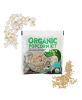 Wabash Valley Farms All-Inclusive Popping Kit Assortment Set