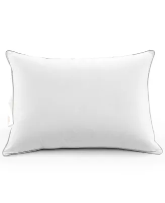 Cheer Collection 2-Pack of Down Alternative Pillows, King
