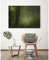 Giant Art 20" x 16" Maier - Forest Morning Museum Mounted Canvas Print