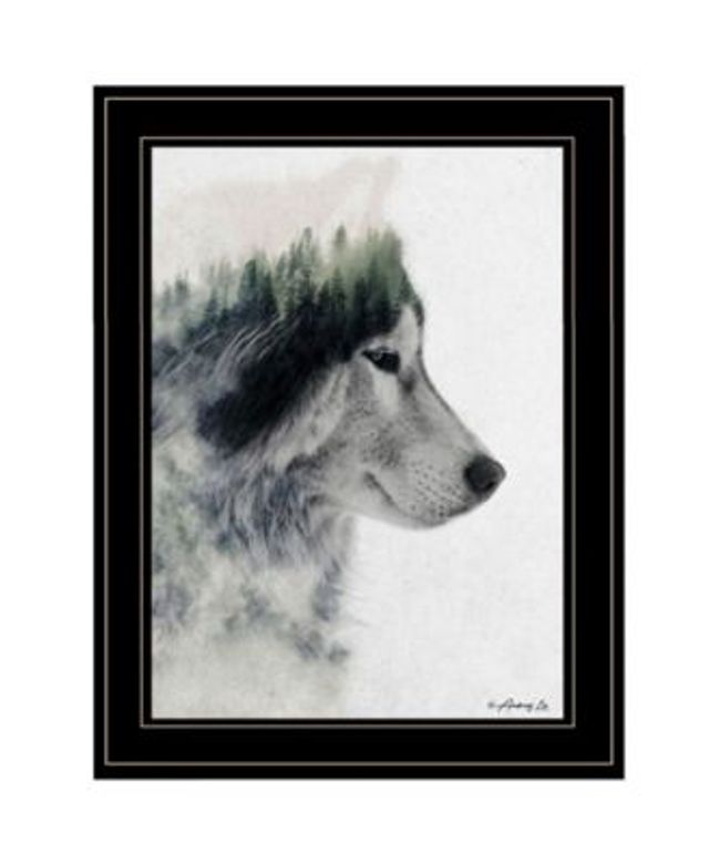 Trendy Decor 4u Wolf Stare By Andreas Lie Ready To Hang Framed Print Collection