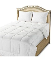 Circles Home 100 Premium Cotton Comforter Soft Breathable Comforter With Square Shape Quilting Design Woven With 200 Thread Count