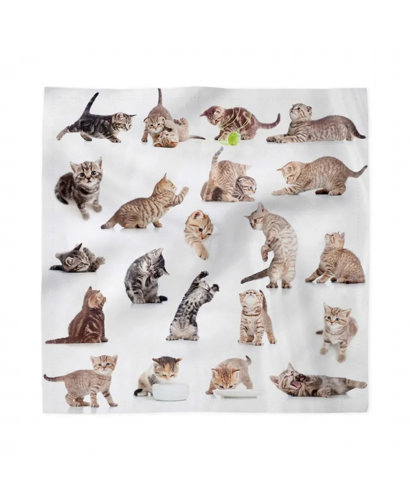 Ambesonne Cat Set of 4 Napkins