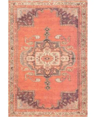 Nuloom Collina Patia Medallion Printed Rust Area Rug