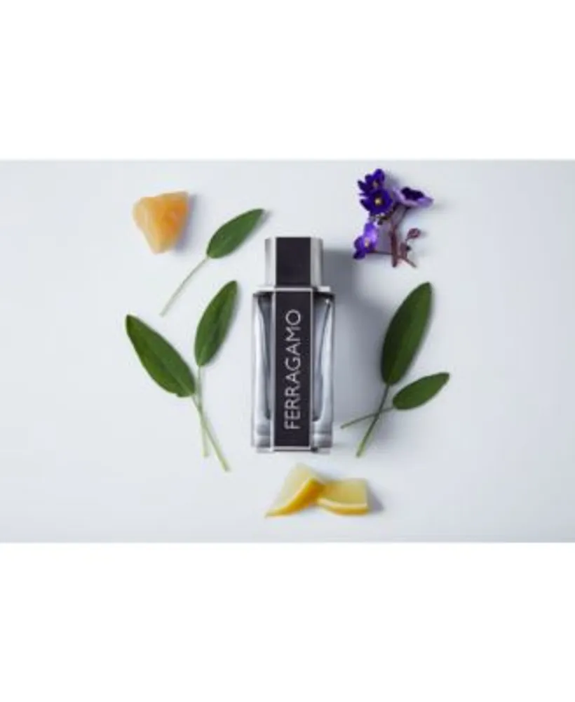Salvatore Ferragamo Mens Ferragamo Eau De Toilette Fragrance Collection