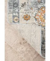 nuLoom Laziza Fiona Floral Distressed Silver 6'7" x 9' Area Rug