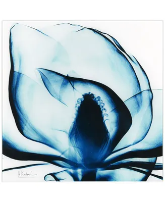 Empire Art Direct Blue Magnolia x-ray Frameless Free Floating Tempered Glass Panel Graphic Wall Art, 24" x 24" x 0.2"