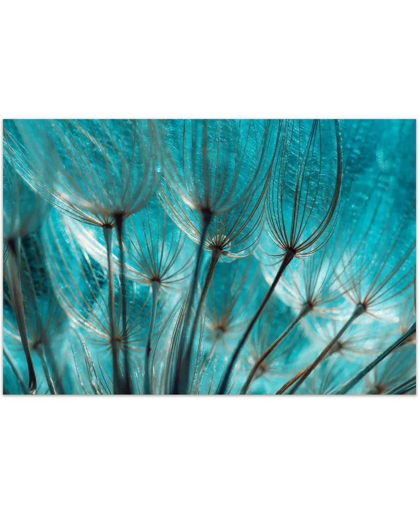 Empire Art Direct Dandelion Frameless Free Floating Tempered Art Glass Wall Art by Ead Art Coop, 32" x 48" x 0.2"