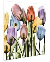 Empire Art Direct Tulip Scape x-ray Ii Frameless Free Floating Tempered Glass Panel Graphic Wall Art, 24" x 24" x 0.2"