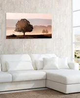 Empire Art Direct Plain View Frameless Free Floating Tempered Art Glass Wall Art by Ead Art Coop, 24" x 48" x 0.2"