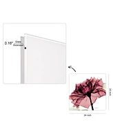 Empire Art Direct Chianti Rose I Frameless Free Floating Tempered Glass Panel Graphic Wall Art, 24" x 24" x 0.2"