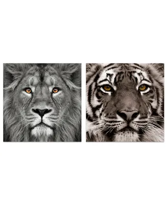 Empire Art Direct King of the Jungle Lion Eye of the Tiger Frameless Free Floating Tempered Glass Panel Graphic Wall Art, 38" x 38" x 0.2"