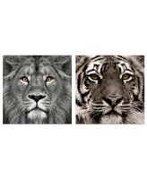 Empire Art Direct King of the Jungle Lion Eye of the Tiger Frameless Free Floating Tempered Glass Panel Graphic Wall Art, 38" x 38" x 0.2"