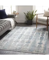 Surya Solar Sor- Gray 2' x 3' Area Rug