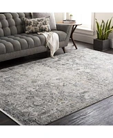 Surya Solar Sor 2313 Gray Area Rug