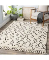 Surya Berber Shag Bbe Charcoal Area Rug