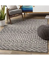 Surya Rugs Chester Che 2321 Gray Area Rug