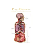 Genius Games Dr. Livingston's Human Anatomy Jigsaw Puzzles - The Human Thorax