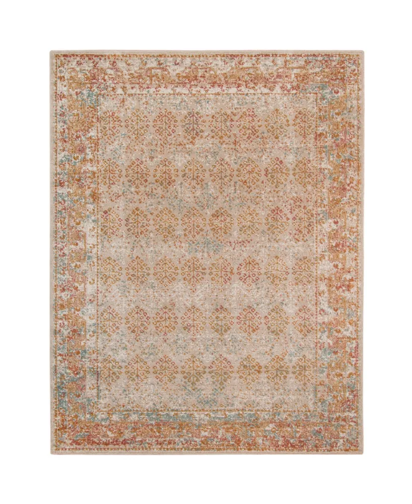 Amer Rugs Eternal Ete-16 Beige/Rust 5'7" x 7'6" Area Rug