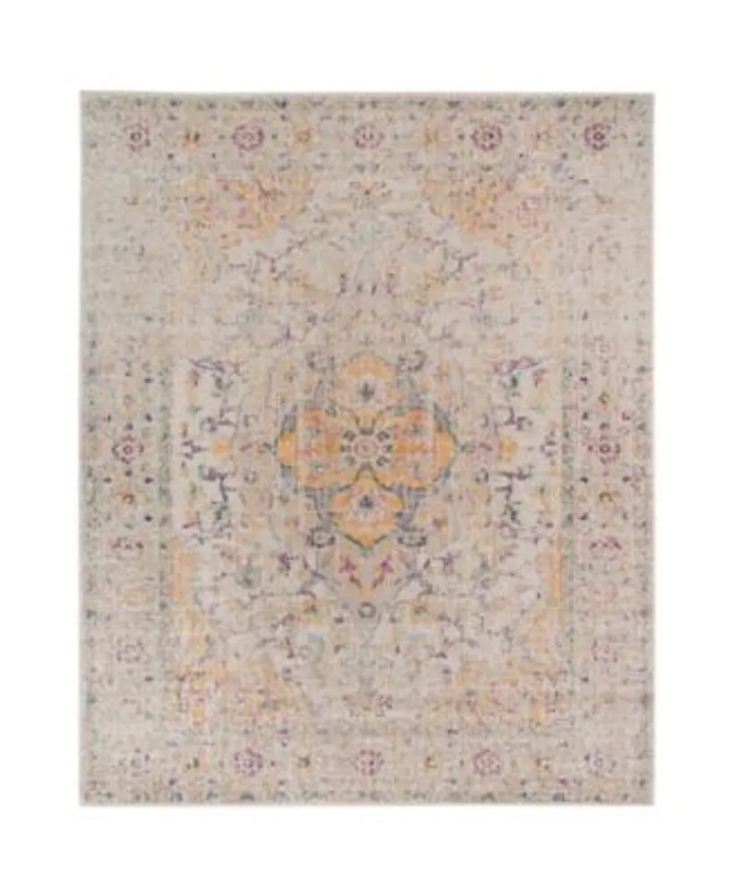 Closeout Amer Rugs Eternal Ete 2 Ivory Rug