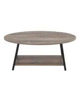 Household Essential Oval Coffee Table 2 Tier With Storage Shelf
