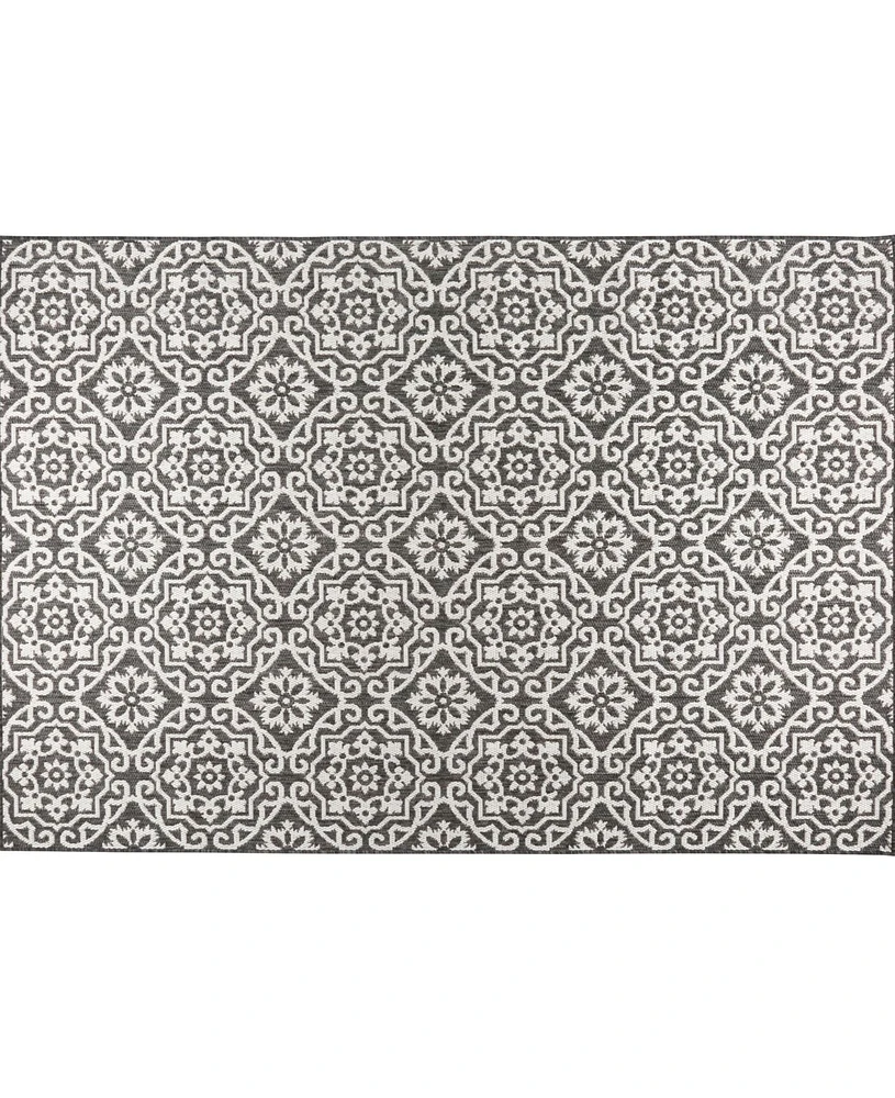 Nicole Miller Patio Country Danica 2A-6681- and Gray 6'6" x 9'2" Outdoor Area Rug