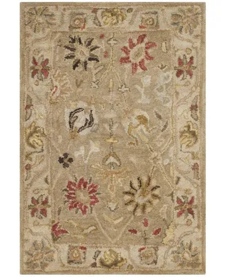 Safavieh Antiquity At859 Taupe 2' x 3' Area Rug