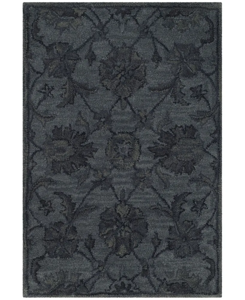 Safavieh Antiquity At824 Gray and Multi 3' x 5' Area Rug