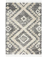 Nourison Home Oslo Shag OSL02 Gray and Ivory 5'3" x 7'9" Area Rug