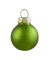 Northlight 24 Count Kiwi 2-Finish Glass Ball Christmas Ornaments