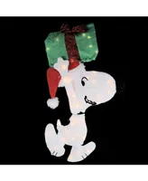 Northlight Pre-Lit Peanuts Snoopy with A Present Christmas Outdoor Decor