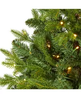 Nearly Natural Fraser Fir "Natural Look" Artificial Christmas Tree with 190 Clear Led Lights, A Burlap Base and 1217 Bendable Branches