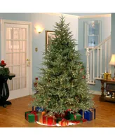 National Tree 6.5' Frasier Grande Tree with 550 Clear Lights