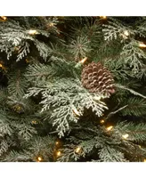 National Tree Company 4' Feel Real Frosted Mountain Spruce Entrance Tree in Silver Urn w Clear Lights