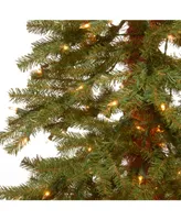 National Tree 6' Hickory Cedar Tree w/ 200 Clear Lights