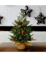 National Tree Company 2' Feel Real Nordic Spruce Tree w Cones & Berries in Burlap w Warm White Lights & Timer