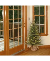 National Tree Company 3' "Feel Real" Nordic Spruce Small Tree in Burlap with 100 Clear Lights