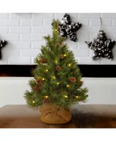 National Tree Company 3' Pine Cone Burlap Tree with 35 Warm White Battery Operated Led Lights w/ Timer