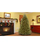 National Tree 9' Dunhill Fir Hinged Tree with Clear Lights