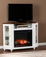 Dilvon Electric Media Fireplace with Storage