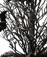 Glitzhome 20" Halloween Lighted Bats Table Top Tree