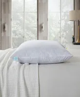 Martha Stewart Feather Firm 2-Pack Pillow