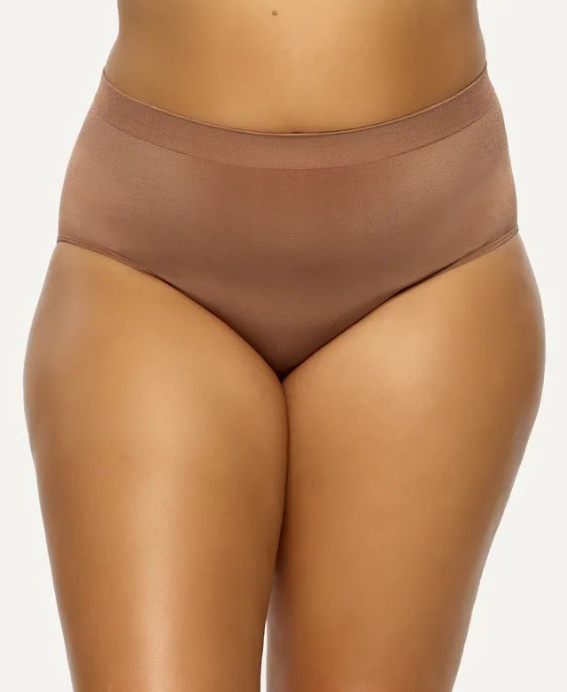 Paramour Plus Body Smooth Seamless Brief Panty