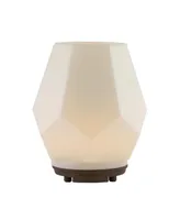 SpaRoom CrystalAir Glass Ultrasonic Essential Oil Aromatherapy Diffuser