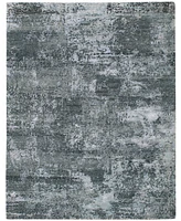 Amer Rugs Serena Santana 8' x 10' Area Rug