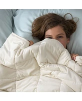 Sealy Quilted Plush 12.2lbs Weighted Blanket