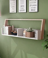 Dellmara 2 Shelves Wall Shelf