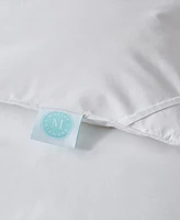 Martha Stewart White Goose Down Fiber All Season Comforter