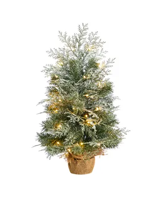 Winter Frosted Artificial Christmas Tree with 35 Led Lights in Burlap Base, 2'