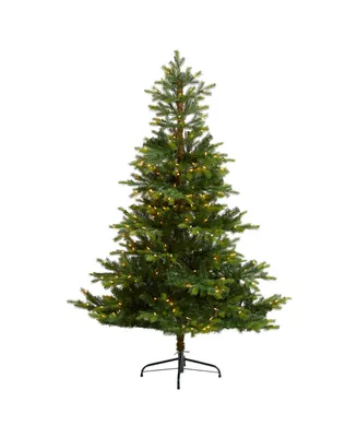 North Carolina Spruce Artificial Christmas Tree with 350 Clear Lights and 631 Bendable Branches, 6'