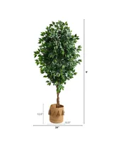 6' Ficus Artificial Tree with Natural Trunk in Planter with Tassels